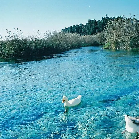 Апартаменты Angel's